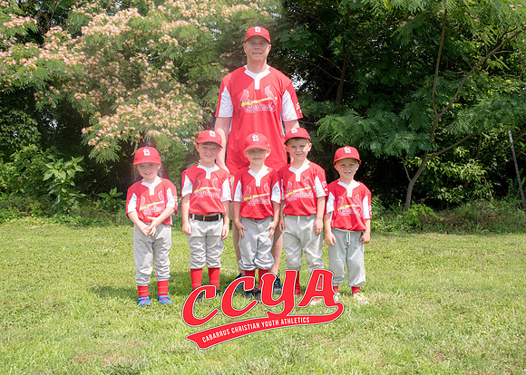 Cardinals 5X7