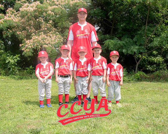 Cardinals 8X10