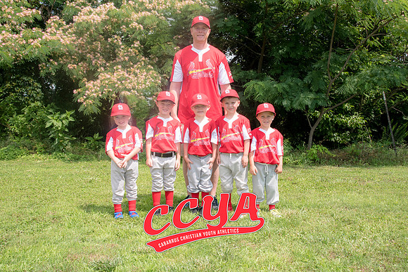 Cardinals 4X6