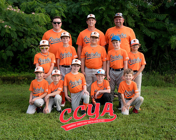 Orioles 8X10