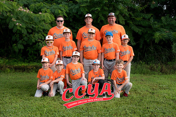 Orioles 4X6