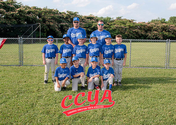 Dodgers 5X7
